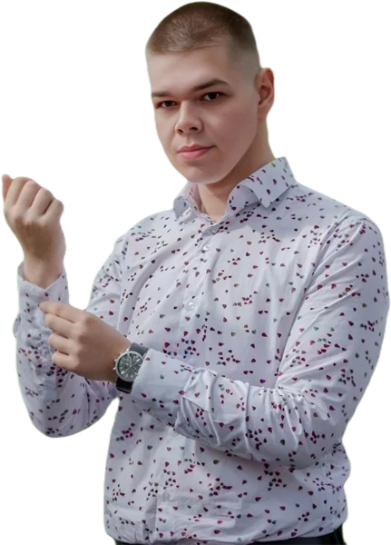 D. Svilenković, designer and developer